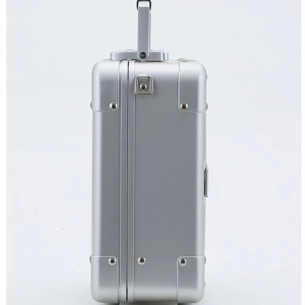 Aleon Beautycases<Diversty Beautycase 27 cm platinum