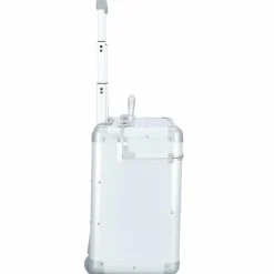 Alumaxx Pilotenkoffer|Laptoptaschen<2-Rollen Pilotenkoffer 47 cm Laptopfach silber matt