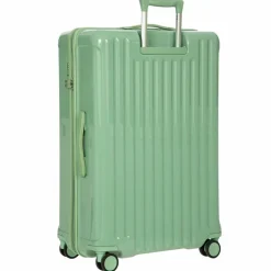 Bric's Positano 4 Rollen Trolley 78 cm mit Dehnfalte sage