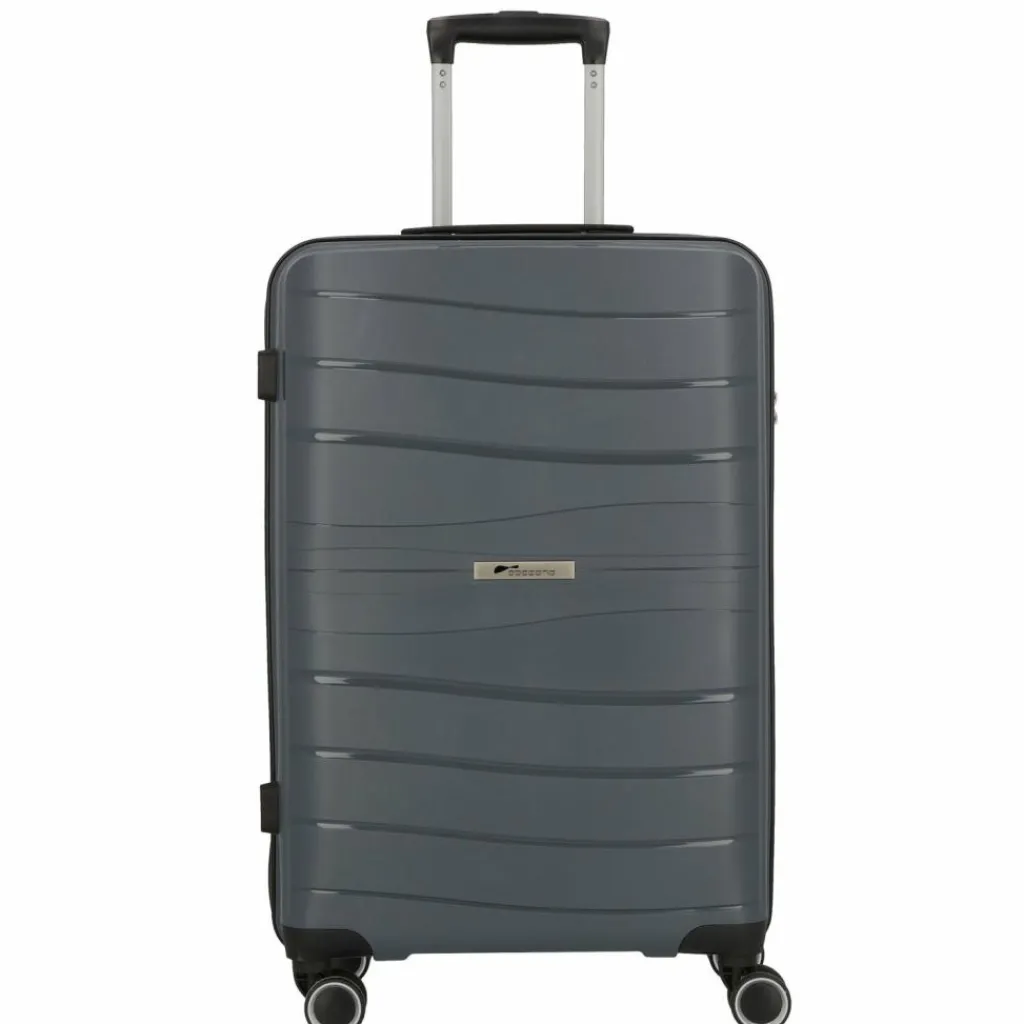 Cocoono Leon 4 Rollen Trolley 66 cm