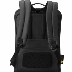 Delsey Paris Business-Rucksäcke|Laptoptaschen<Arche Business-Rucksack RFID Schutz 43 cm Laptopfach schwarz