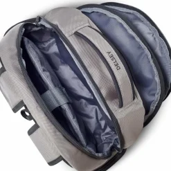 Delsey Paris Daypacks<Element Daypack 44 cm Laptopfach grau