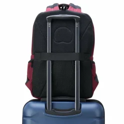 Outlet Delsey Paris Element Daypack 44 cm Laptopfach rot