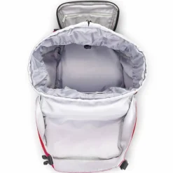 Best Delsey Paris Nomade L Rucksack 59 cm Laptopfach paonie