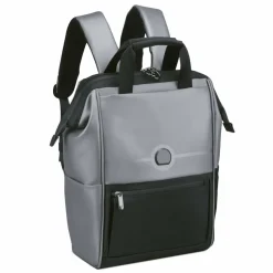 Hot Delsey Paris Turenne Soft Daypack 39 cm Laptopfach silber