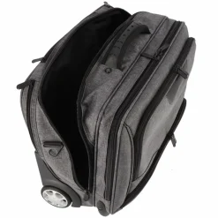Dermata 2 Rollen Businesstrolley 44 cm Laptopfach