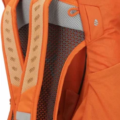 Deuter AC Lite 22 SL Wanderrucksack 30 cm