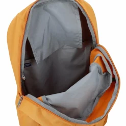 Deuter Daypacks<Gogo Daypack 46 cm amber-maple