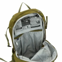 Online Deuter Speed Lite 21 Wanderrucksack 46 cm linden-cactus