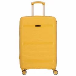 d&n Travel Line 4200 4 Rollen Trolley M 67 cm