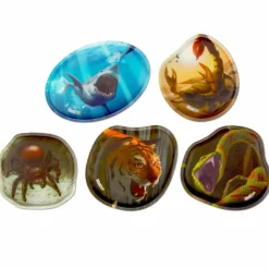 Ergobag Zubehör Set<Kletties Set 5tlg. Himmelsraum