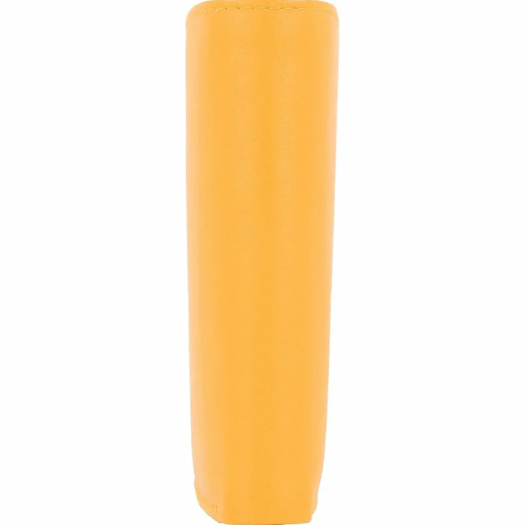 Damen Esquire Peru Geldbörse RFID Leder 9,5 cm