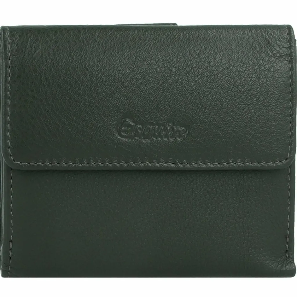 Esquire Damengeldbörsen Querformat<Viktoria Geldbörse RFID 10 cm grün