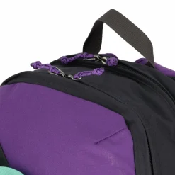 Fjällräven Daypacks<Vardag 17 Daypack 41 cm Laptopfach violette-coal black
