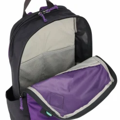 Fjällräven Daypacks<Vardag 17 Daypack 41 cm Laptopfach violette-coal black