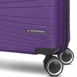 Franky Dallas 3.0 4 Rollen Trolley M 65 cm mit Dehnfalte