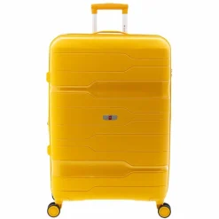 Gladiator 3800 4 Rollen Trolley 77 cm mit Dehnfalte