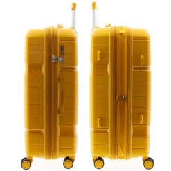 Gladiator 3800 4 Rollen Trolley 77 cm mit Dehnfalte