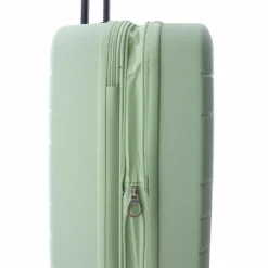 Clearance Gladiator 4300 4 Rollen Trolley 55 cm mit Dehnfalte green