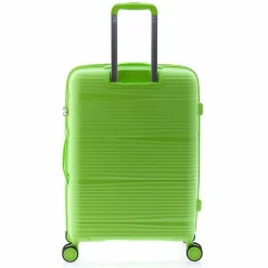Gladiator 0800 4 Rollen Trolley 65 cm mit Dehnfalte green