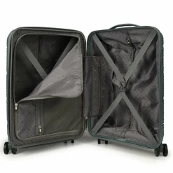 Online Gladiator 0800 4 Rollen Trolley 55 cm mit Dehnfalte dusty green