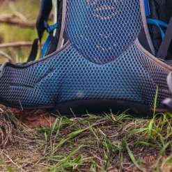 Best Gregory Citro 30 Wanderrucksack 55 cm volt blue