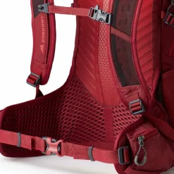 Clearance Gregory Maya 20 Wanderrucksack 49 cm iris red