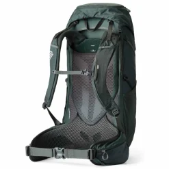 Hot Gregory Paragon 40 Trekkingrucksack M-L 70 cm cascade green