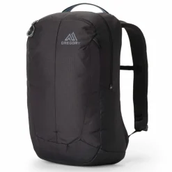 Gregory Daypacks<Retna 20 Daypack 50 cm Laptopfach carbon sky