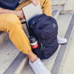 Gregory Daypacks<Retna 20 Daypack 50 cm Laptopfach carbon sky