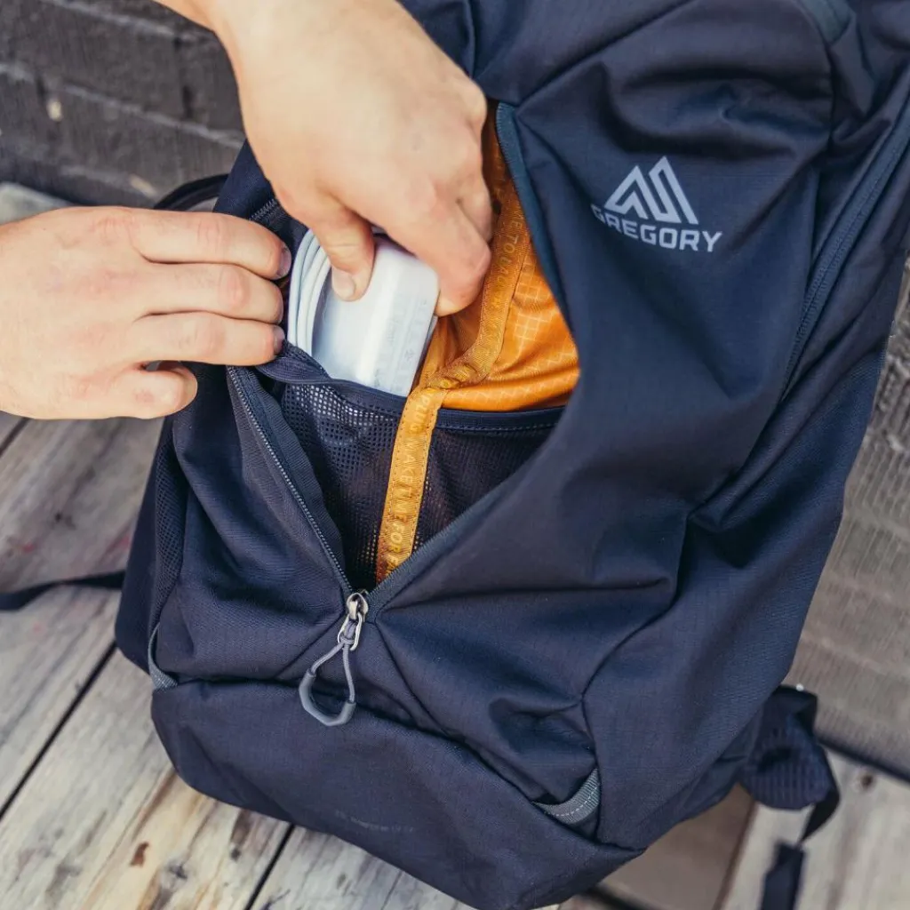 Gregory Daypacks<Rhune 22 Daypack 48 cm Laptopfach coyote brown