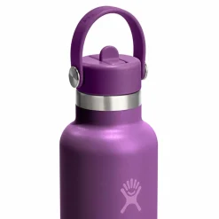 Hydro Flask Trinkflaschen<Hydration Standard Flex Straw Cap Trinkflasche 620 ml beachplum