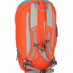 Jack Wolfskin Daypacks<Ecoloader 24 Rucksack 50 cm wild brier