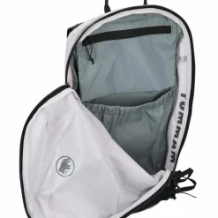 Mammut Wanderrucksäcke<Aenergy 12 Wanderrucksack 46 cm alpine calamint