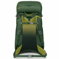 Osprey Ace 38 Trekkingrucksack 64 cm
