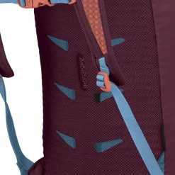 Online Osprey Daylite 0 Daypack 41 cm moody burgundy