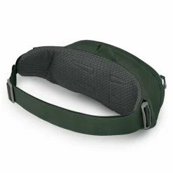 Osprey Gürteltaschen<Daylite Waist Gürteltasche 45 cm green belt-green canopy