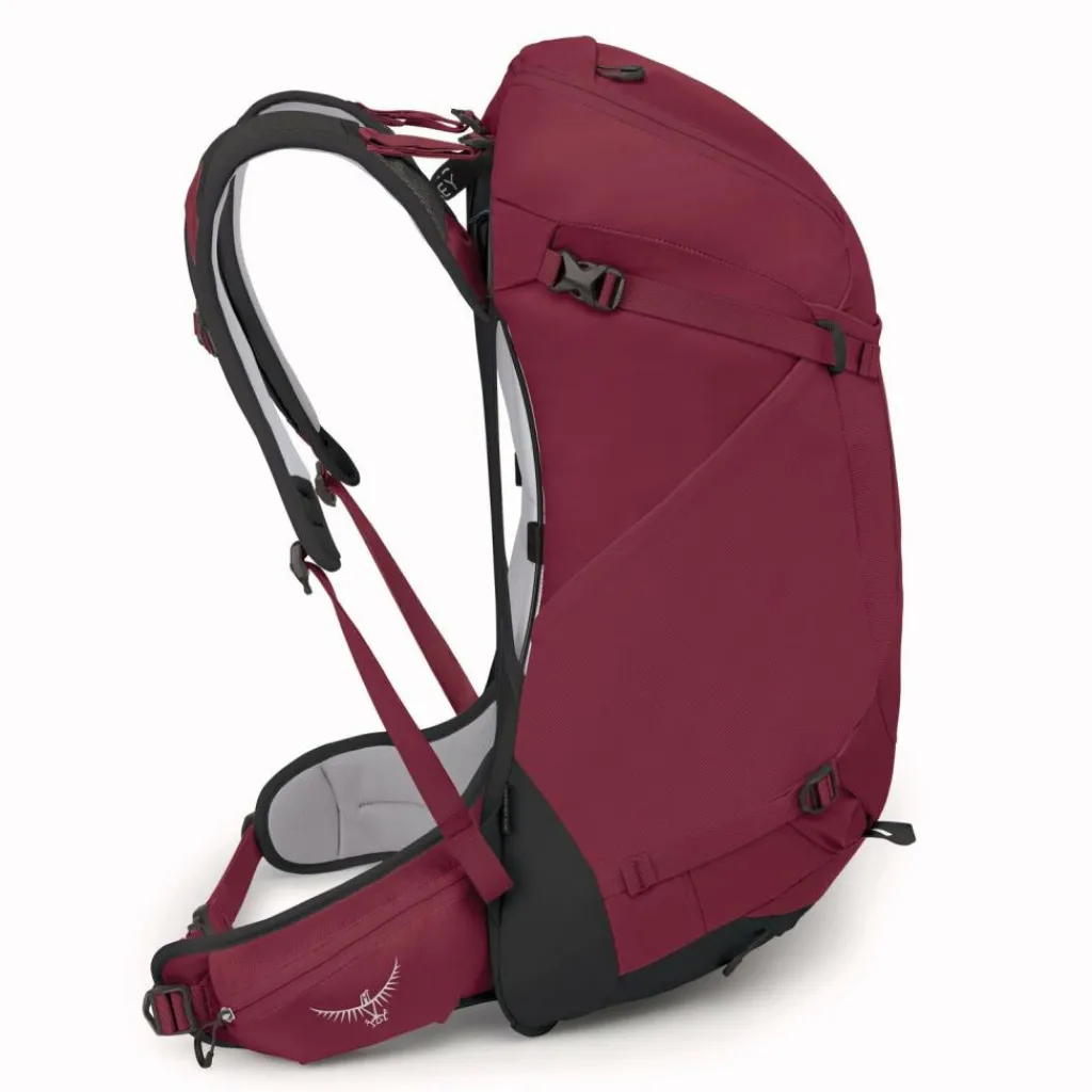 Osprey Wanderrucksäcke<Hikelite 32 Wanderrucksack S-M 55 cm chameleon-black