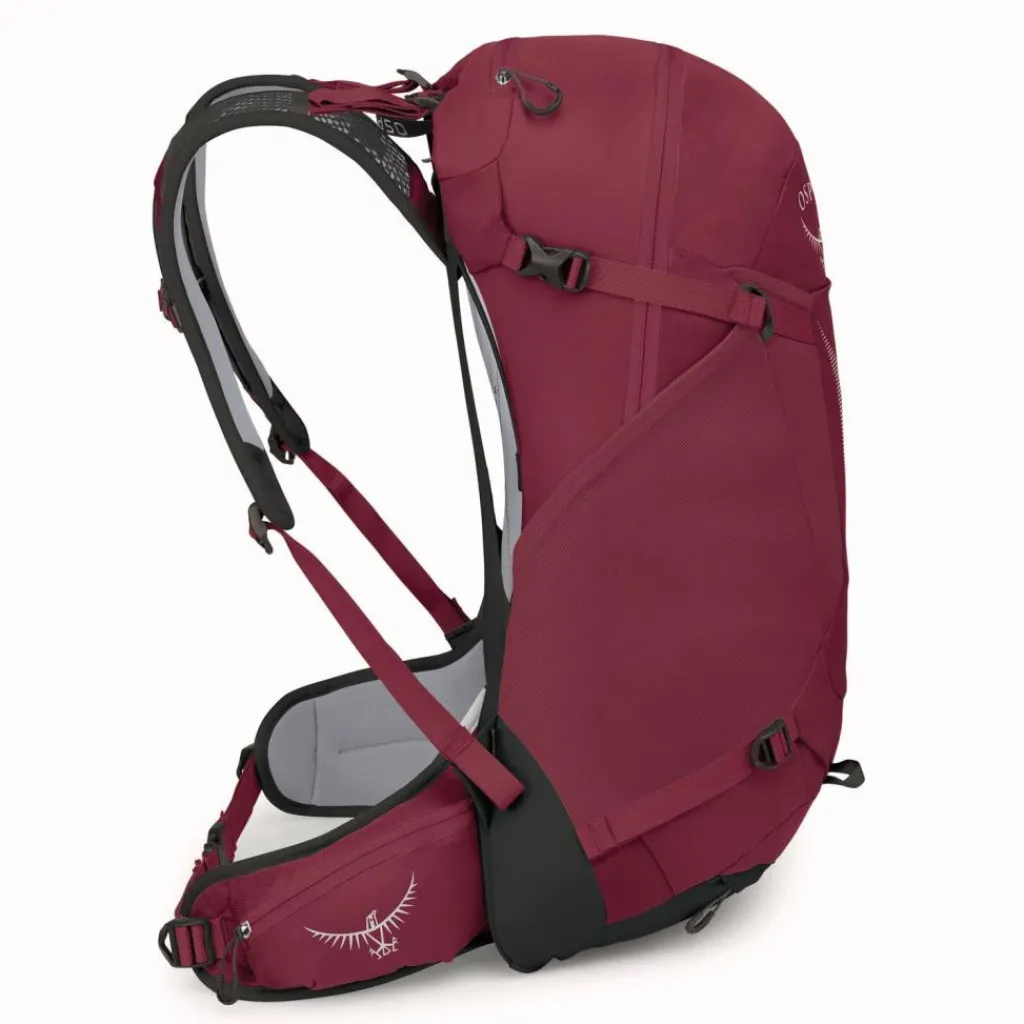 Discount Osprey Hikelite 28 Wanderrucksack M-L 59 cm chameleon-black