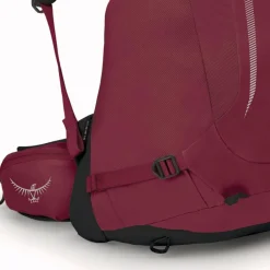 Discount Osprey Hikelite 28 Wanderrucksack M-L 59 cm chameleon-black