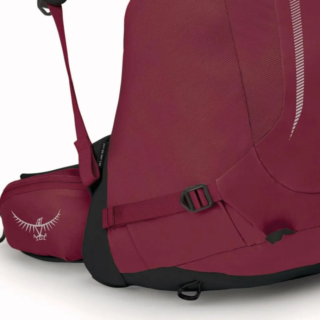 Discount Osprey Hikelite 28 Wanderrucksack M-L 59 cm chameleon-black