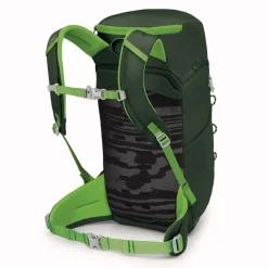 Osprey Wanderrucksäcke<Jet 18 Wanderrucksack 46 cm green canopy-limeline green