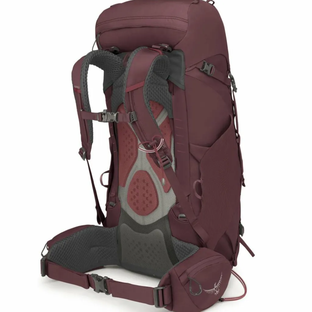 Osprey Wanderrucksäcke<Kyte 38 Wanderrucksack WM-L 71 cm elderberry purple