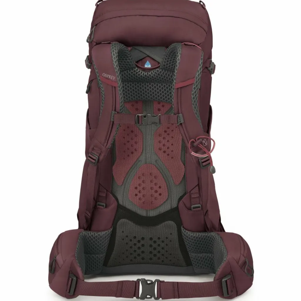 Osprey Wanderrucksäcke<Kyte 38 Wanderrucksack WM-L 71 cm elderberry purple
