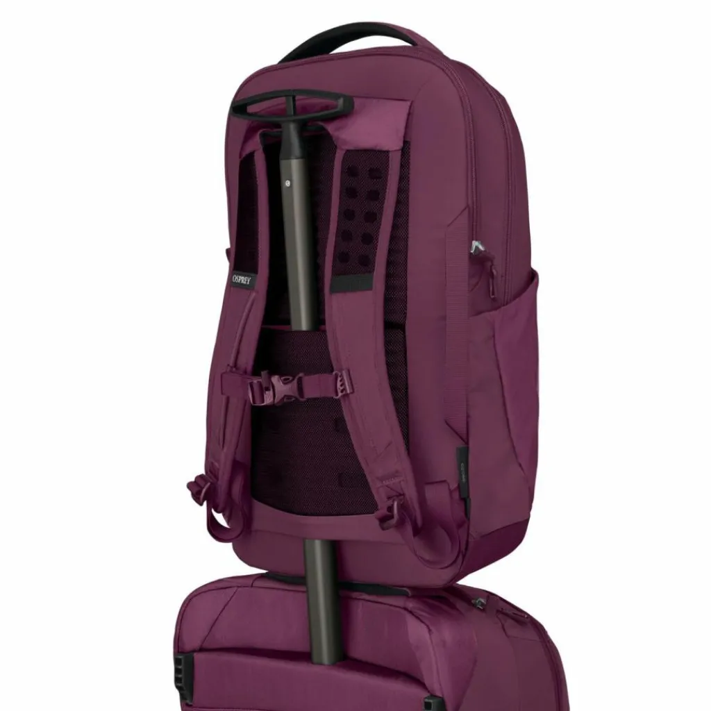 Osprey Daypacks<Ozone Daypack 50 cm Laptopfach moody burgundy