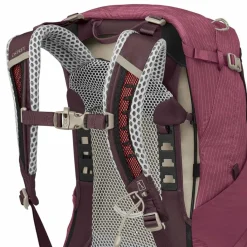 Osprey Wanderrucksäcke<Sirrus 24 Rucksack w 49 cm elderberry purple-chiru tan