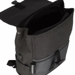 Picard Speed Daypack 40 cm Laptopfach