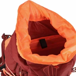 Salewa Trekkingrucksäcke<Alp Trainer 30L Rucksack 65 cm syrah