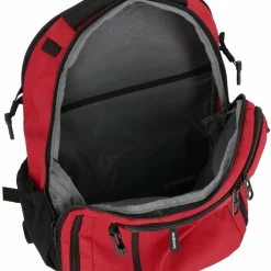 Online Samsonite Roader Daypack 44 cm Laptopfach red clay