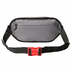 Discount The North Face Y2K Gürteltasche 33 cm smoked pearl-tnf red-tn